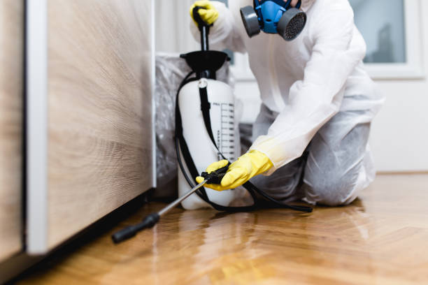 Best Residential Pest Control  in Flagtown, NJ