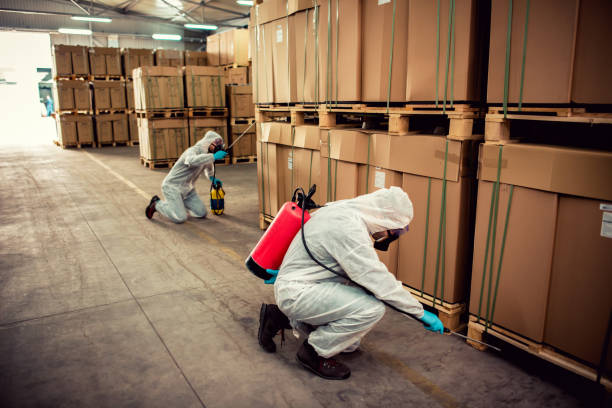 Best Pest Inspection Near Me  in Flagtown, NJ
