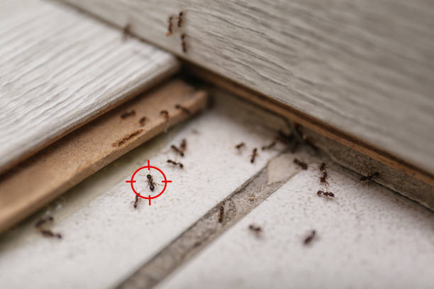 Best Wildlife Control Services  in Flagtown, NJ
