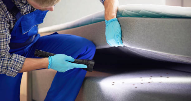 Best Bed Bug Extermination  in Flagtown, NJ
