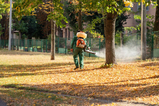 Best Emergency Pest Control  in Flagtown, NJ