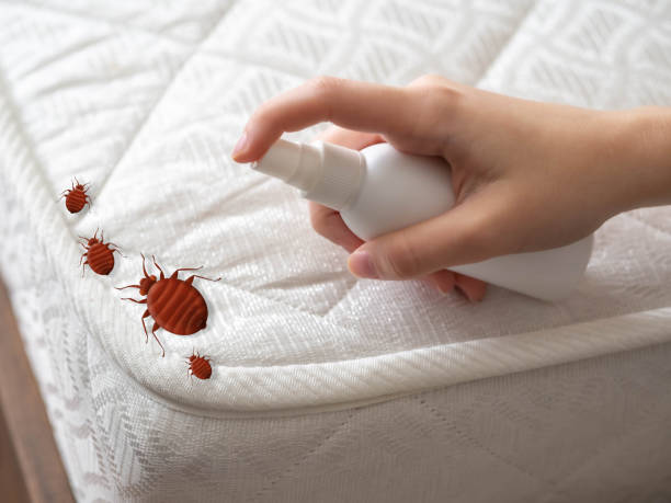 Best Mosquito Control Services  in Flagtown, NJ