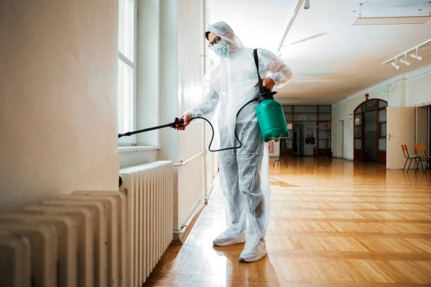 Best Insect Control  in Flagtown, NJ