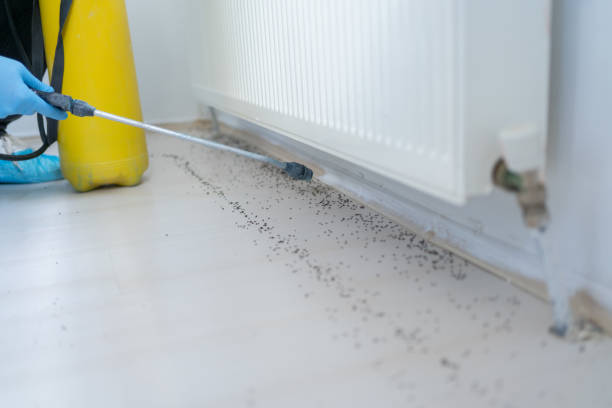 Best Best Pest Control Near Me  in Flagtown, NJ