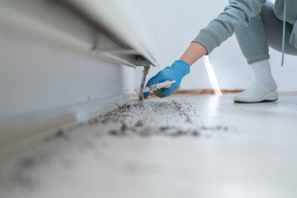 Best Affordable Pest Control Services  in Flagtown, NJ