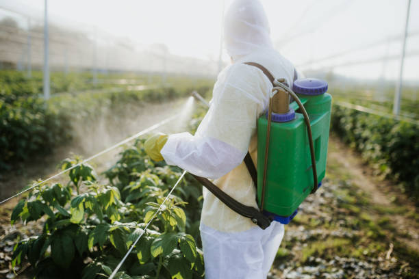 Best Termite Control Services  in Flagtown, NJ